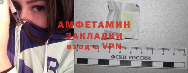 ГАЛЛЮЦИНОГЕННЫЕ ГРИБЫ Инсар