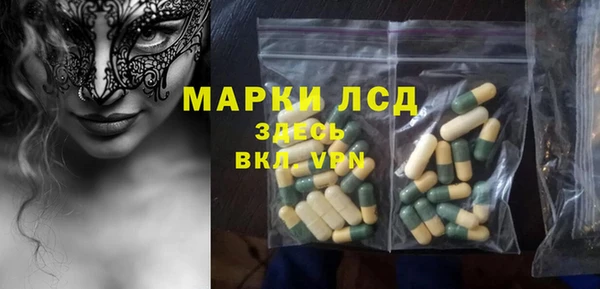 ГАЛЛЮЦИНОГЕННЫЕ ГРИБЫ Инсар