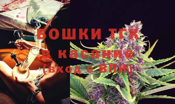 ГАЛЛЮЦИНОГЕННЫЕ ГРИБЫ Инсар