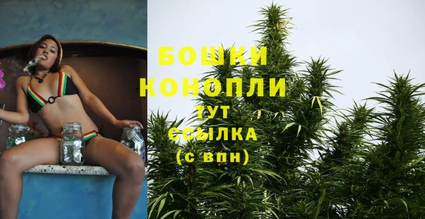 прущая мука Иннополис