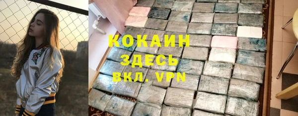 ГАЛЛЮЦИНОГЕННЫЕ ГРИБЫ Инсар