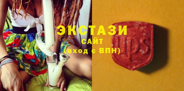 ГАЛЛЮЦИНОГЕННЫЕ ГРИБЫ Инсар