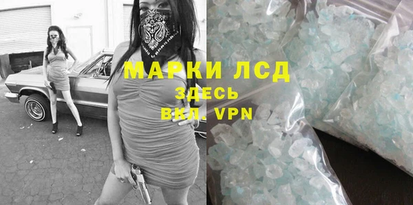 ГАЛЛЮЦИНОГЕННЫЕ ГРИБЫ Инсар