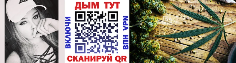 Бошки Шишки ГИДРОПОН  Купить где  Разумное 
